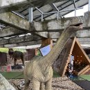 우석헌자연사박물관 이미지