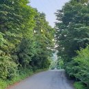 법동교차로 이미지