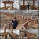 농부사랑 이미지