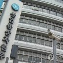 세종청사 13동 이미지