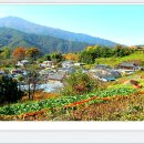 매동둘레길 입구 이미지