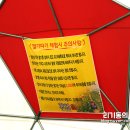 영웅이네 딸기농장 이미지