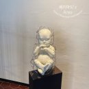 브라운핸즈 이미지