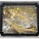 해창식육식당 이미지