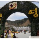 국화펜션 이미지