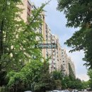 압구정-106 이미지