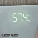 콩디