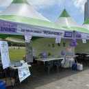 가족과 함께하는 문화체험(5월) 이미지