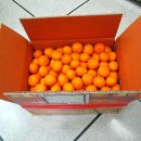 평안농장 이미지