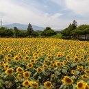 만송농장 이미지