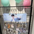 김영준 | 2026.02.10 김영준님 생일 이벤트 후기