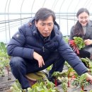 김정남농장 이미지