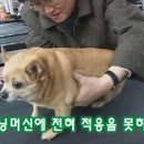 안녕하세요 이미지