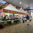 무궁화로_1 | 250913 고양 라페스타 푸드앤비어페스티벌 맥주축제 먹거리 토요일 후기