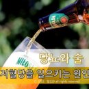 [당119닷컴] 당뇨 술 - 술이 저혈당을 일으키는 원인 이미지