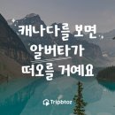 트립통
