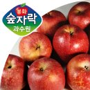 산지직송농산물