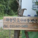 털보낚시 - 예산군 역전로 9-1 | 털보낚시