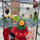 규정농장 | 춘천 신북읍 딸기농장 체험 솔직후기