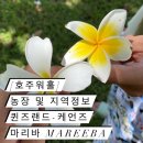 돈짐농장 이미지