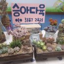 승아농장 이미지