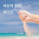 세상에없는세상