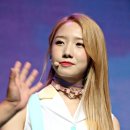 미기 카카오 검색결과