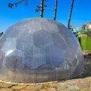 코지네이쳐 이미지