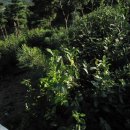 일봉농장 이미지