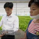 일신팜 이미지