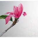 보태니컬아트 이미지