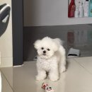 키히키히 이미지