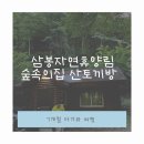 7개월 아기와 숲캉스 홍천 삼봉자연휴양림 산토끼방 후기🌳
