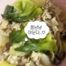 도토약국 | ✏️ 251120 최근 밀린(?) 일기와 오늘 일기