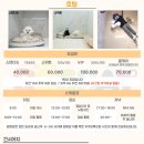 도그베이 미사점 이미지