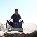 한빛현요양병원 | [부산] 대륙봉(520m),아기자기능선 산행후기---2025년 5월 4일(일)