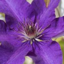 은행유치원 이미지