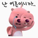 수작 Daum카페