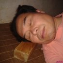 박짐