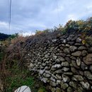 백록정궁도장 이미지