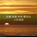 나이스정형외과의원 이미지