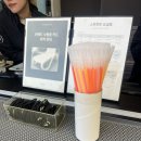 스트란트(THE STRAND) | [인천/영종도] 호캉스의 꽃, 네스트호텔 수영장 '스트란트' 내돈내산후기