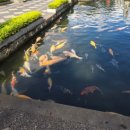 세풍농장 이미지