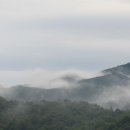 널부르는소리야 이미지