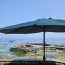 카페청굴물 | 제주도 동쪽 가볼만한 곳 | 자연 용천수가 솟아나는 청굴물, 카페청굴물 내돈내산 다녀온 후기