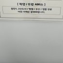 에브리캣 이미지