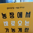 금계 농장 | 가농금계란 내돈내산후기 이쑤시개테스트해봄