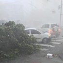 더봄안경원 이미지