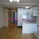 동연아미가 이미지