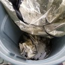 새현대약국 이미지